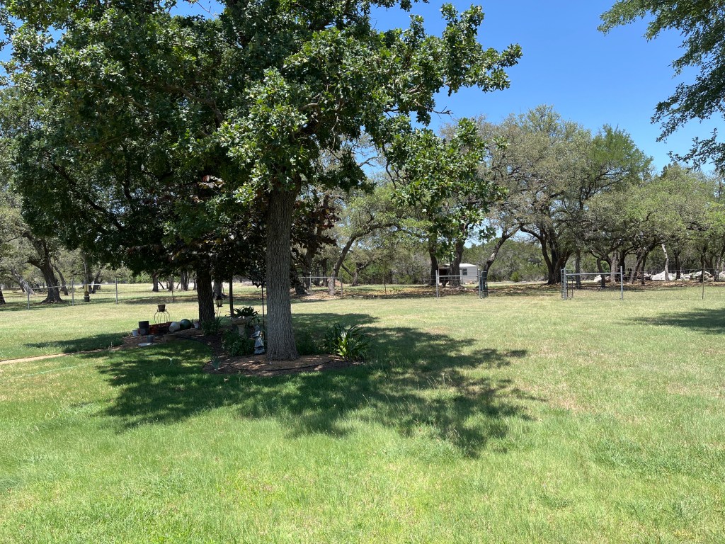 Estate sale this week in&nbsp;Georgetown